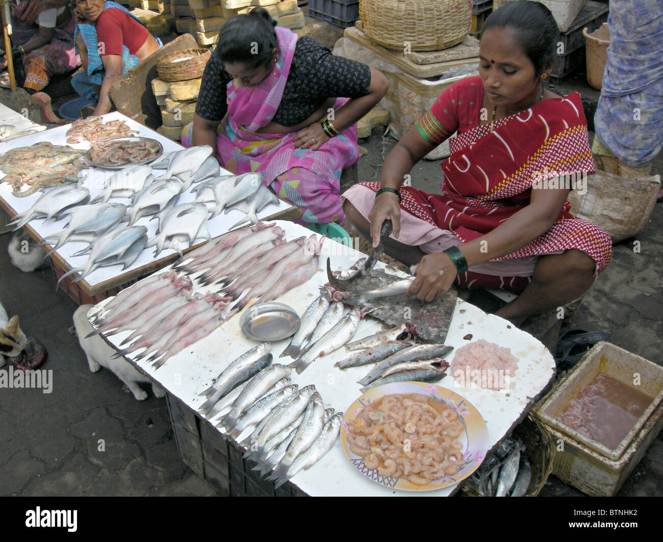 INDIA Fishmongers in a Mumbai market Photo © Julio Etchart Stock Photo