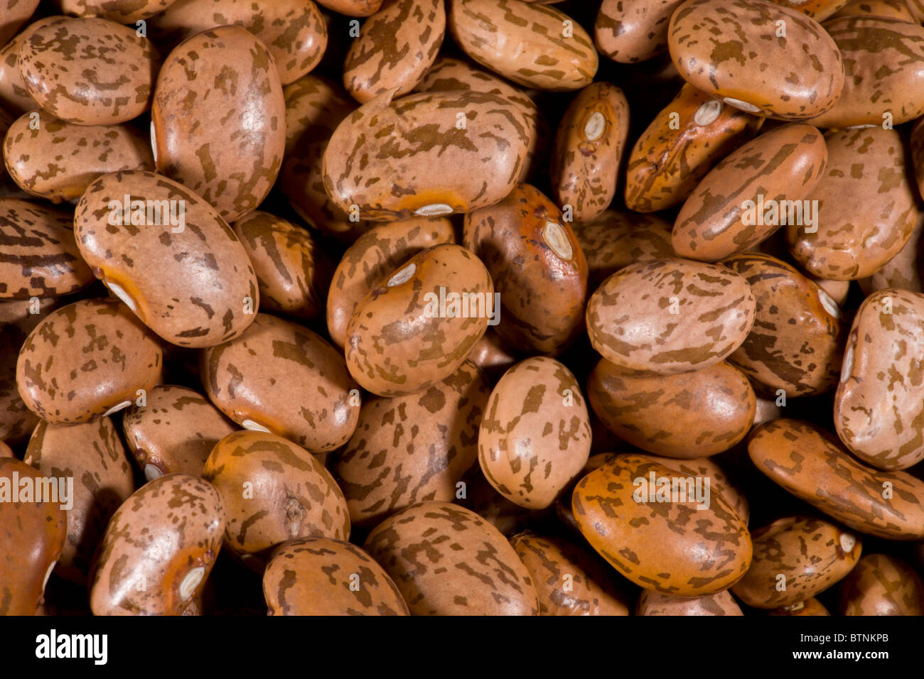 Pinto Beans High Resolution Stock Photography and Images Alamy