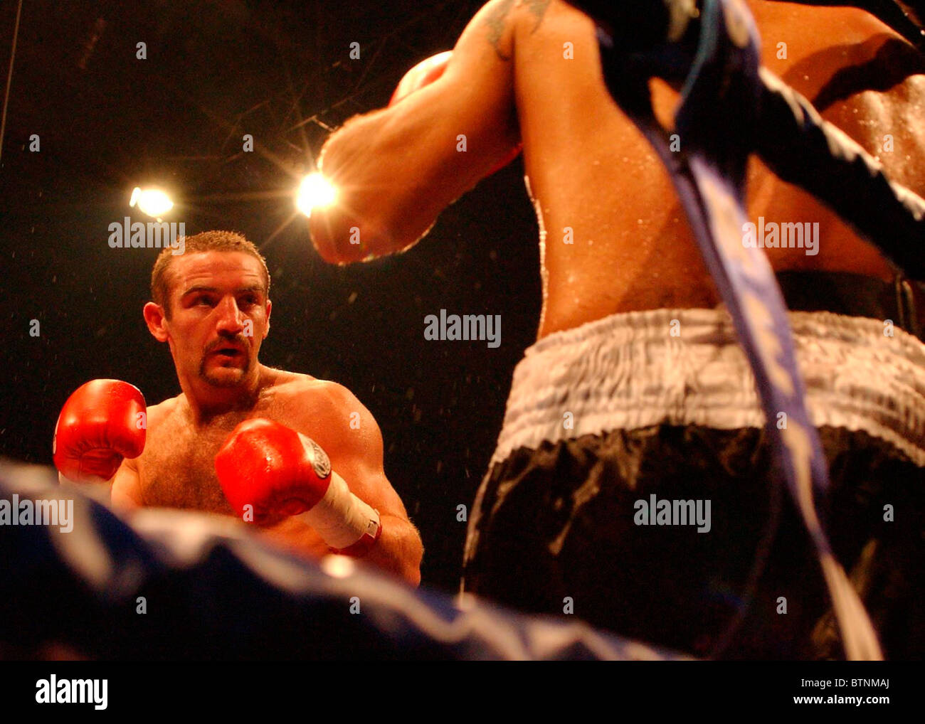 Scottish boxer Scott Harrison in action Stock Photo