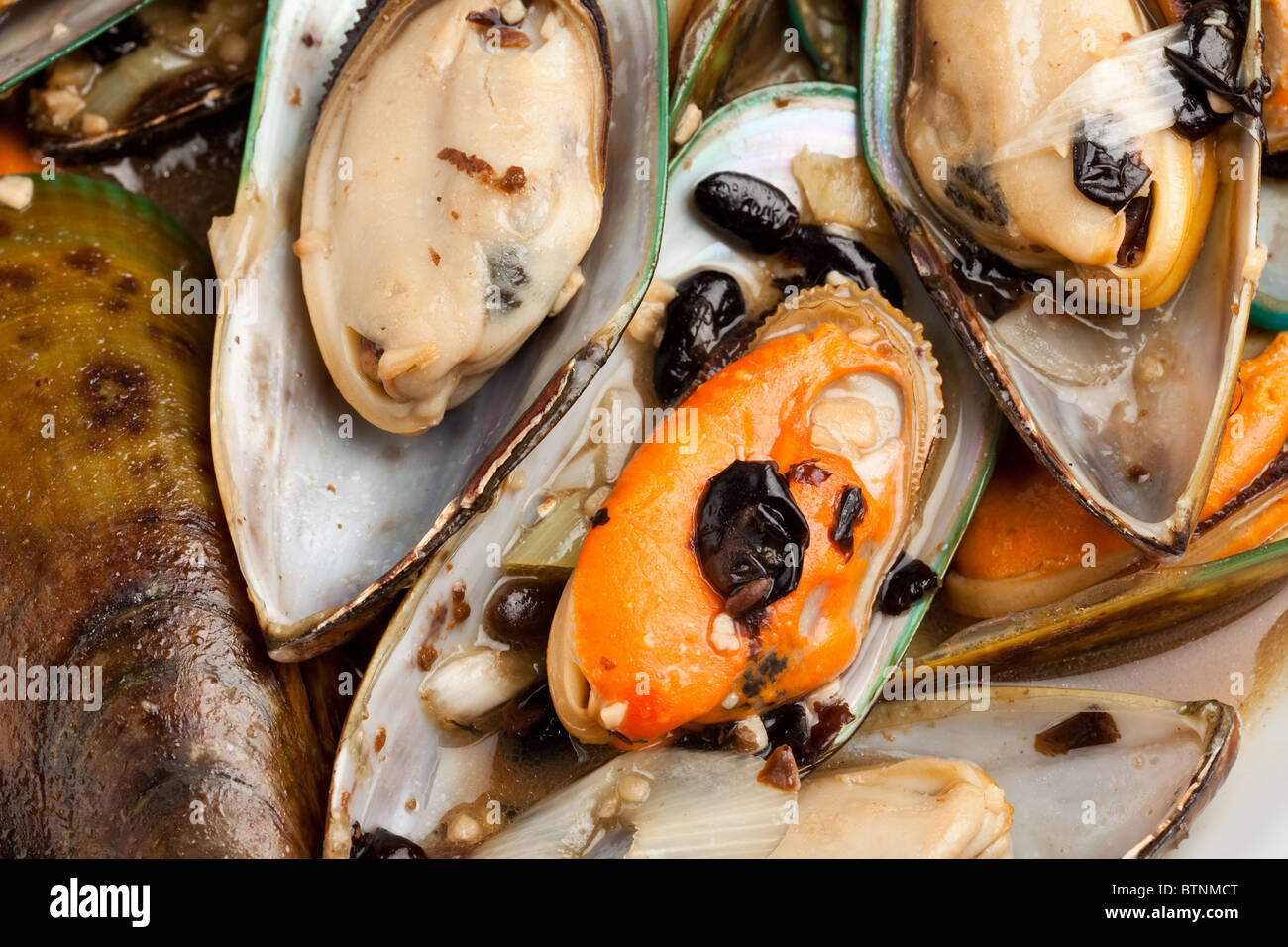 Cooked Mussel close up for background Stock Photo Alamy