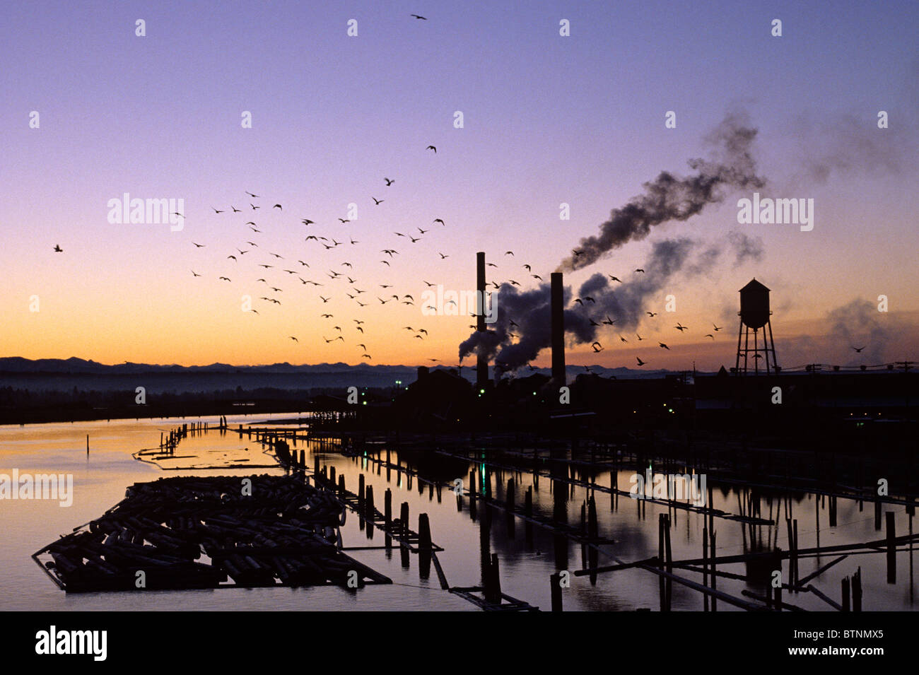 Retro image Sunrise over slough with silhouetted pilings and lumber on