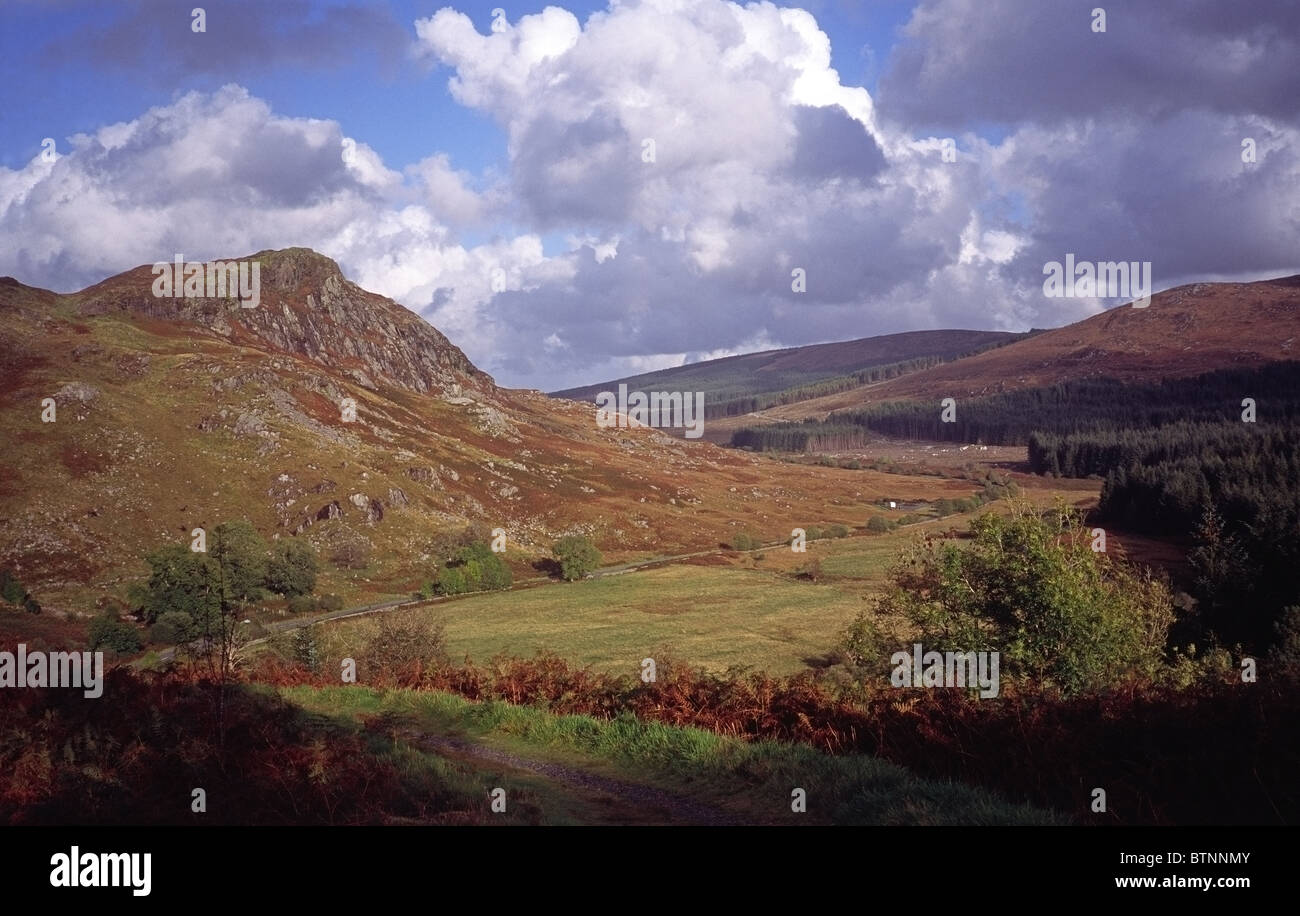View from Murray's Monument of the Galloway Forest Park, Dumfries and