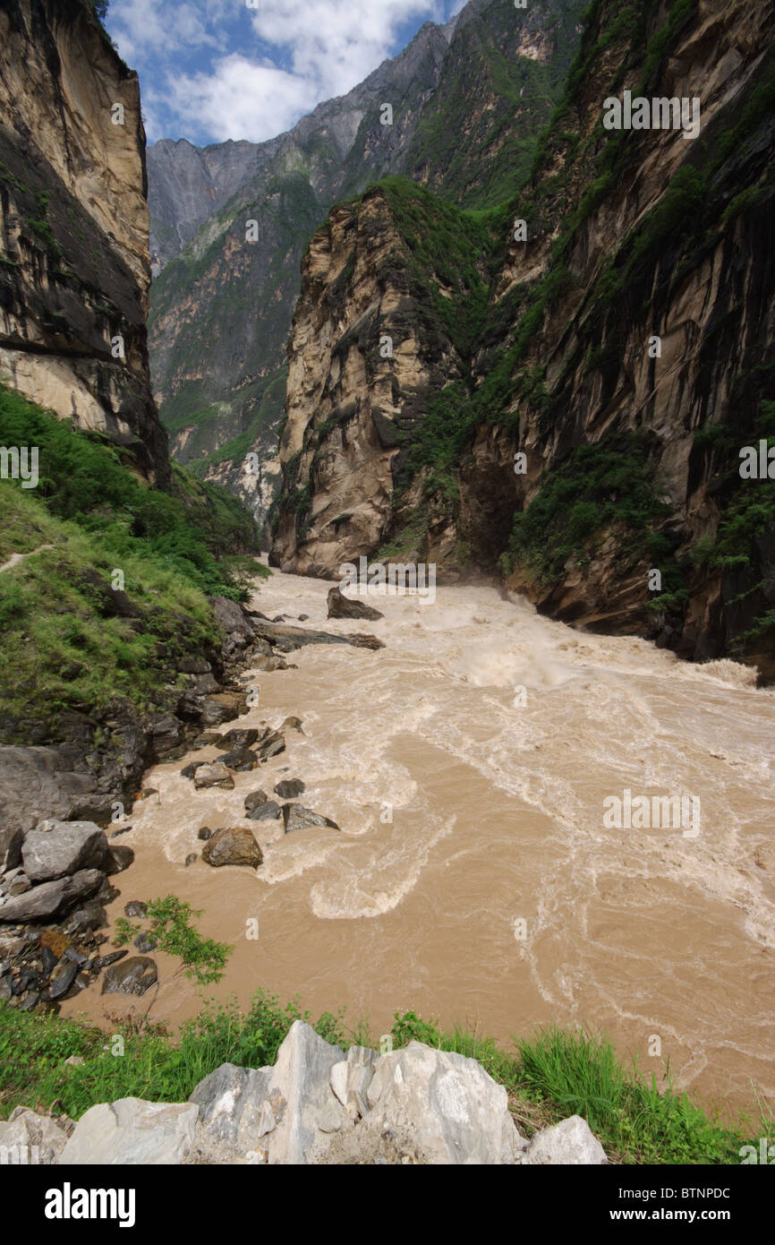 Tiger Leaping China Stock Photo Alamy