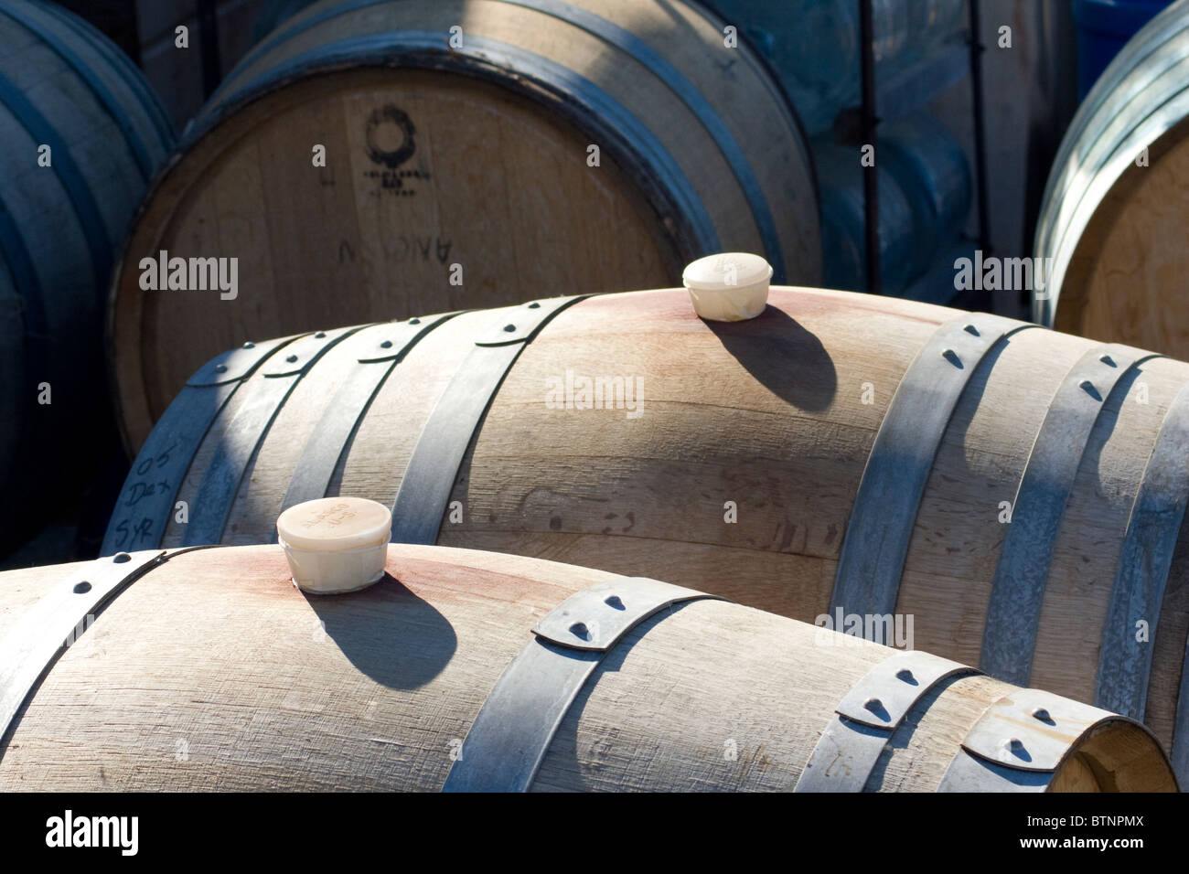 Oak Wine Barrels Stock Photo Alamy