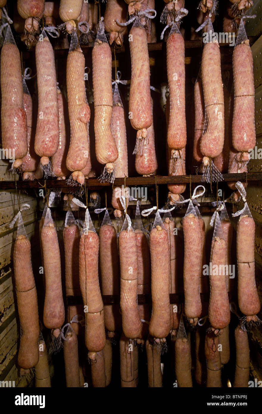 drying pork sausage, pork butcher, butcher, butcher shop, boucher