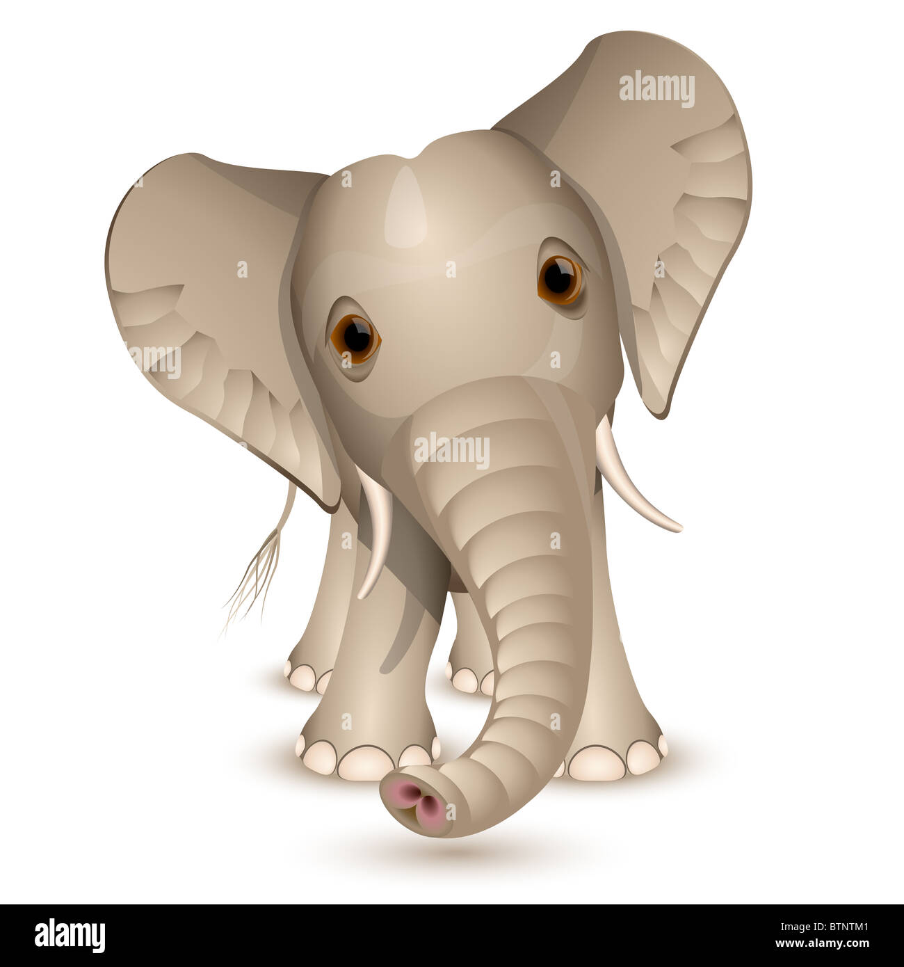 Little elephant isolated on white Stock Photo - Alamy