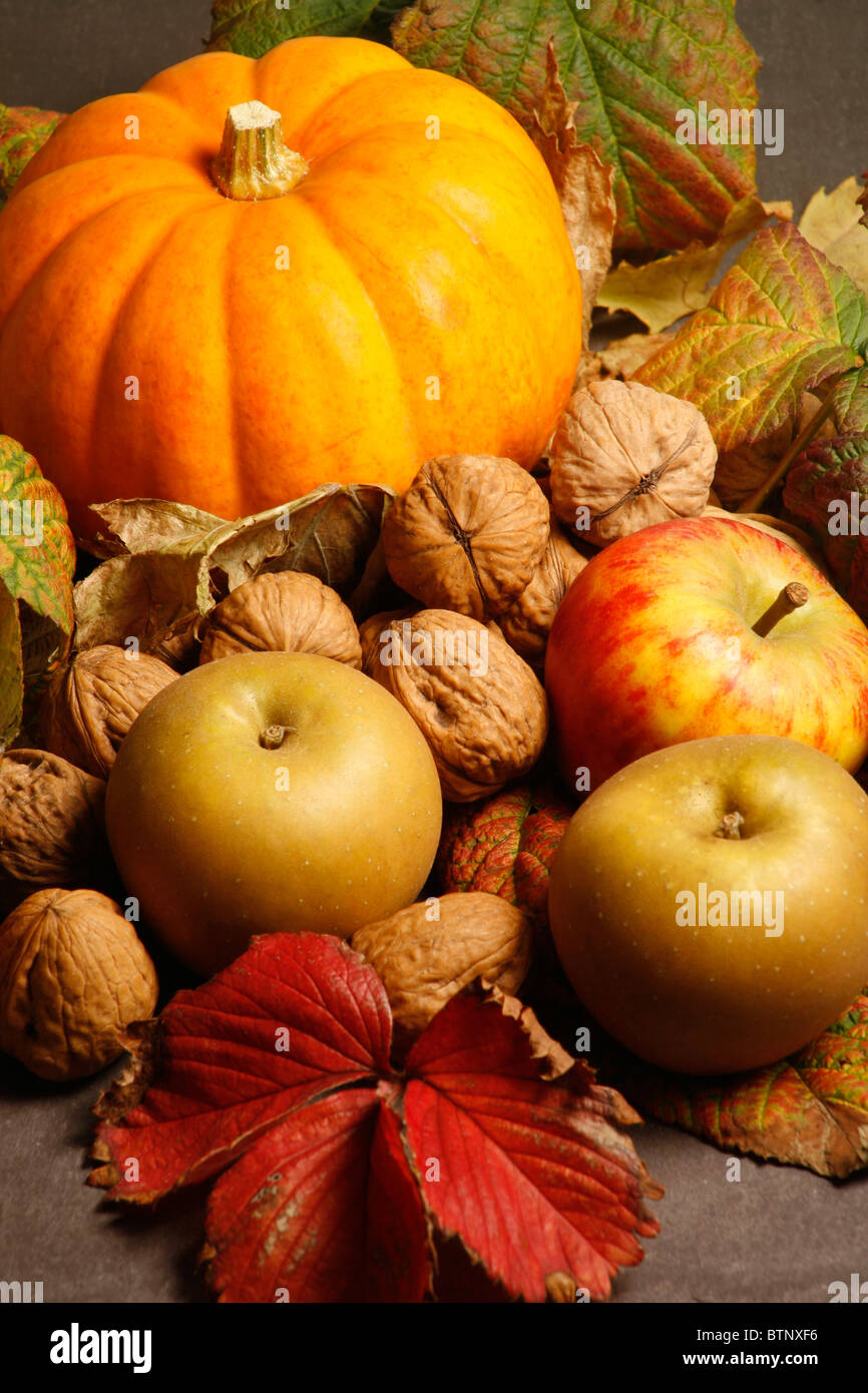 Autumn Fall Stock Photo