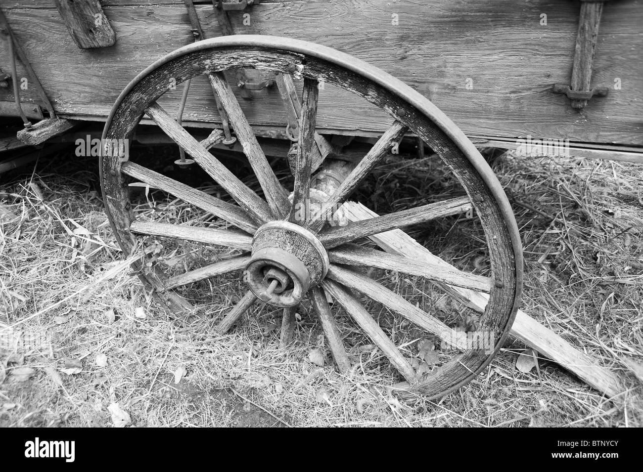 wooden wheel from old platform cart telega carriage Stock Photo Alamy