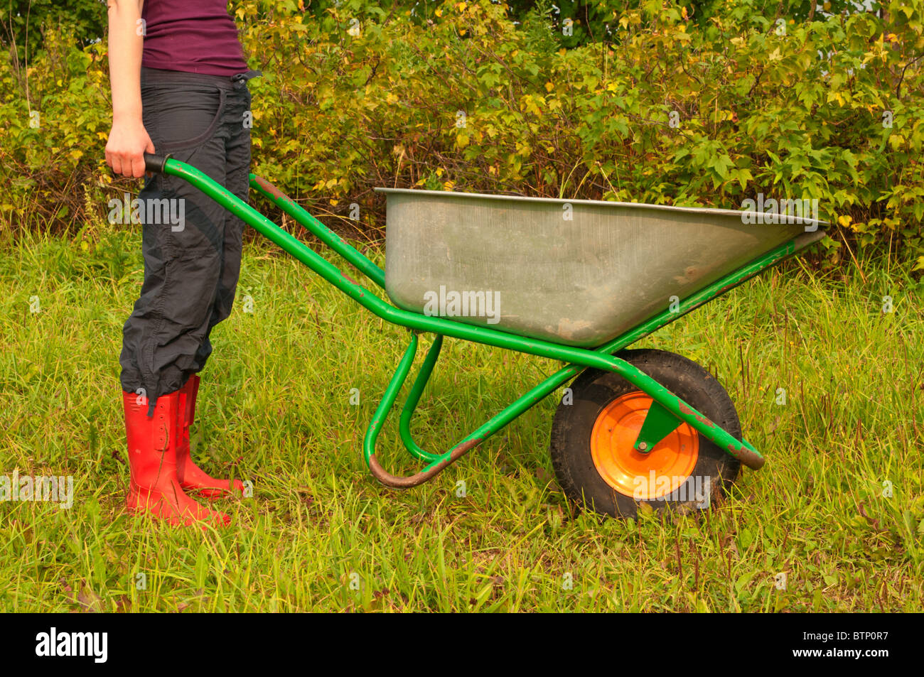 Young female with a wheelbarrow working in a backyard Stock Photo - Alamy