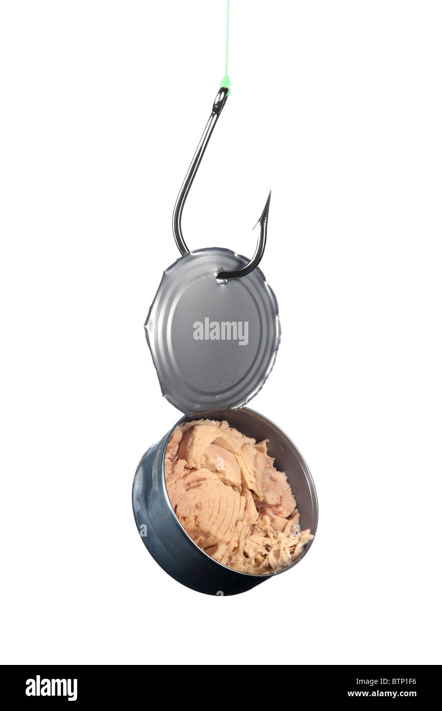 A stainless steel fishing hook snagged an open can of tuna. Stock Photo
