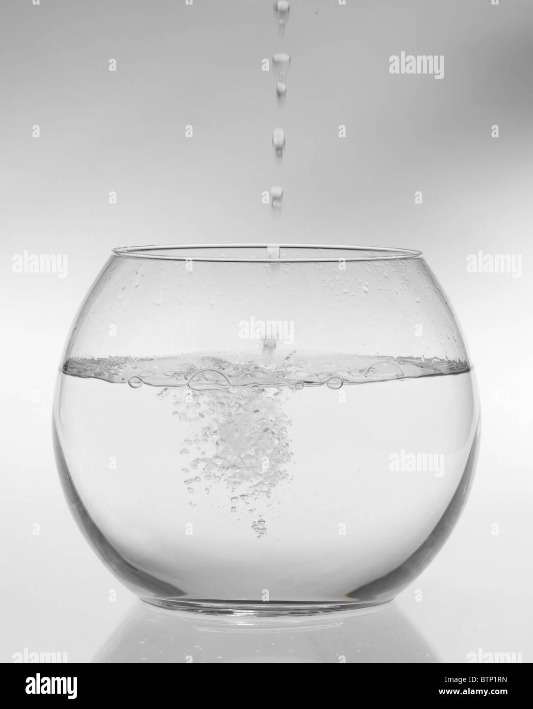 An image of goldfish in aquarium Stock Photo Alamy