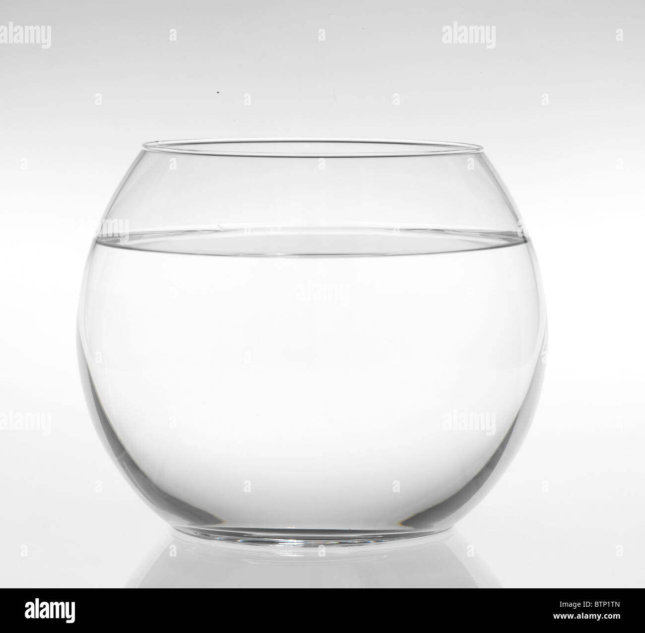 An image of goldfish in aquarium Stock Photo Alamy