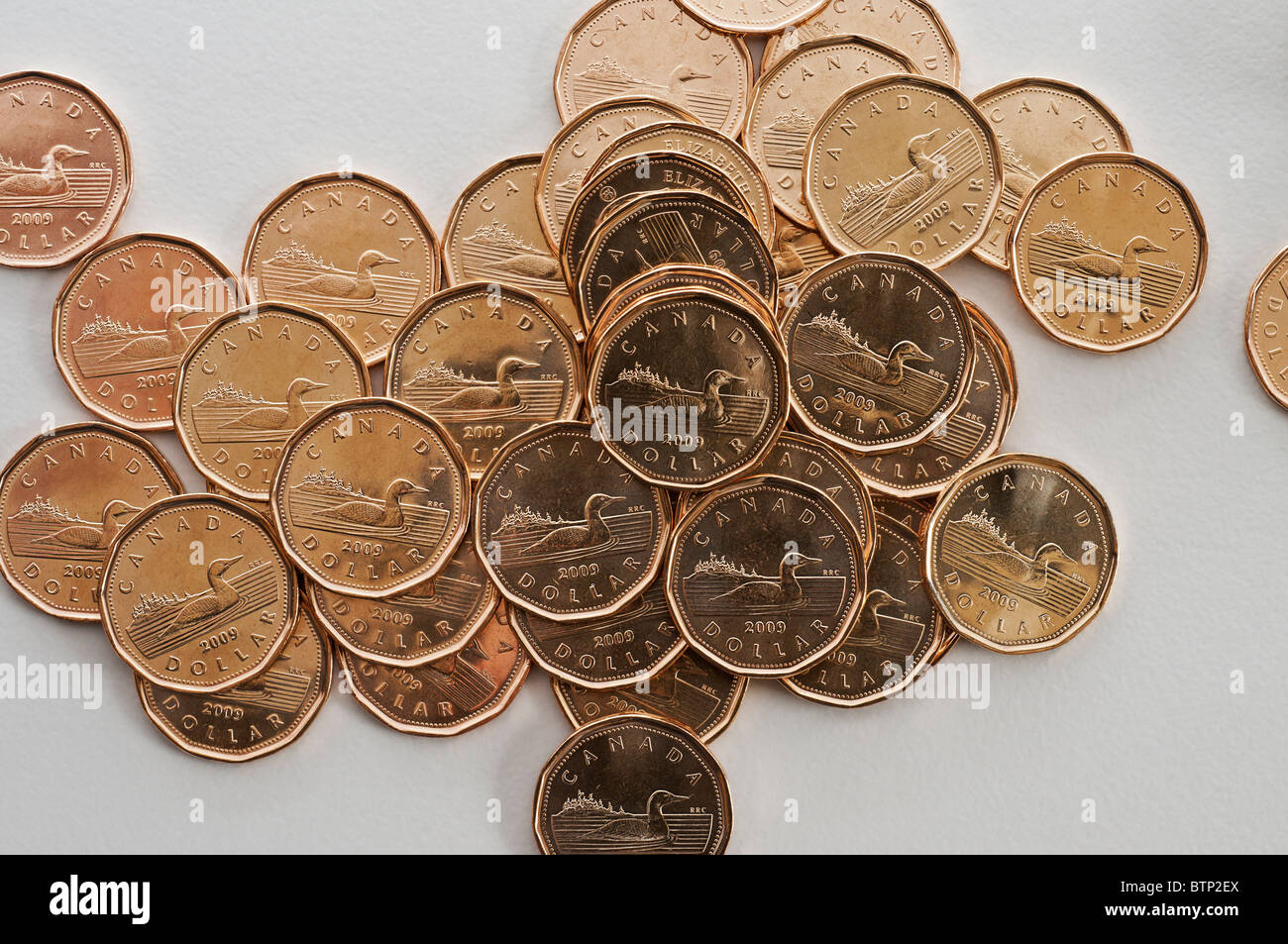 Loonie coin hi-res stock photography and images - Alamy