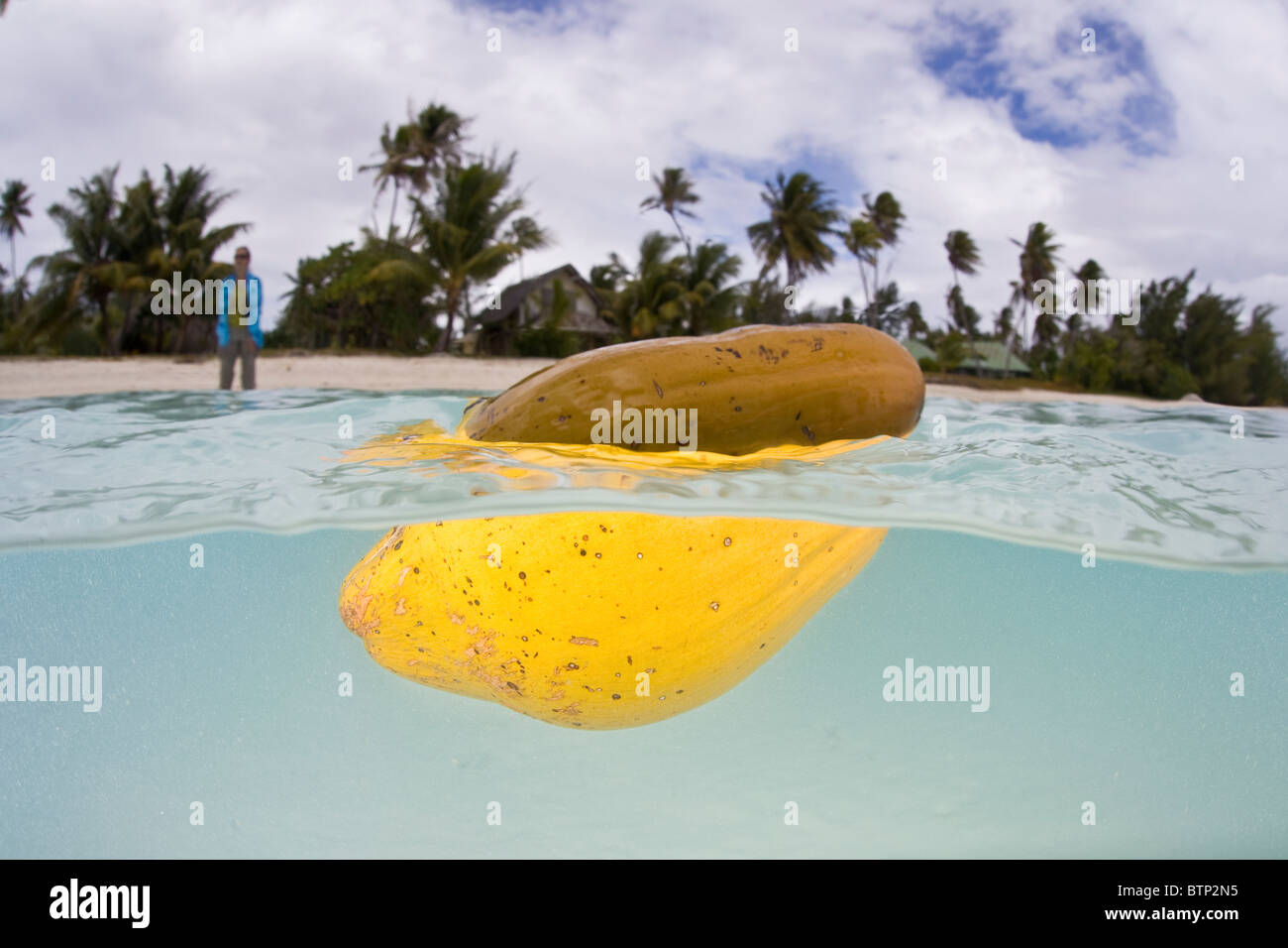 Yellow coconut floats in bora hires stock photography and images Alamy