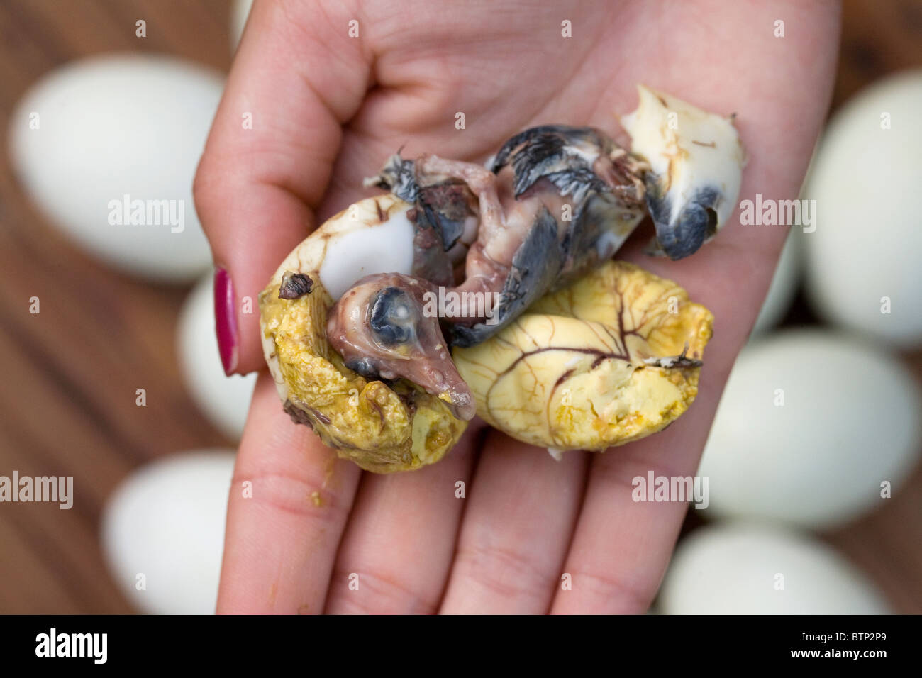 The exposed embryo from a balut, or boiled fertilized duck egg, held by a Filipina in Oriental Mindoro, Philippines. Stock Photo