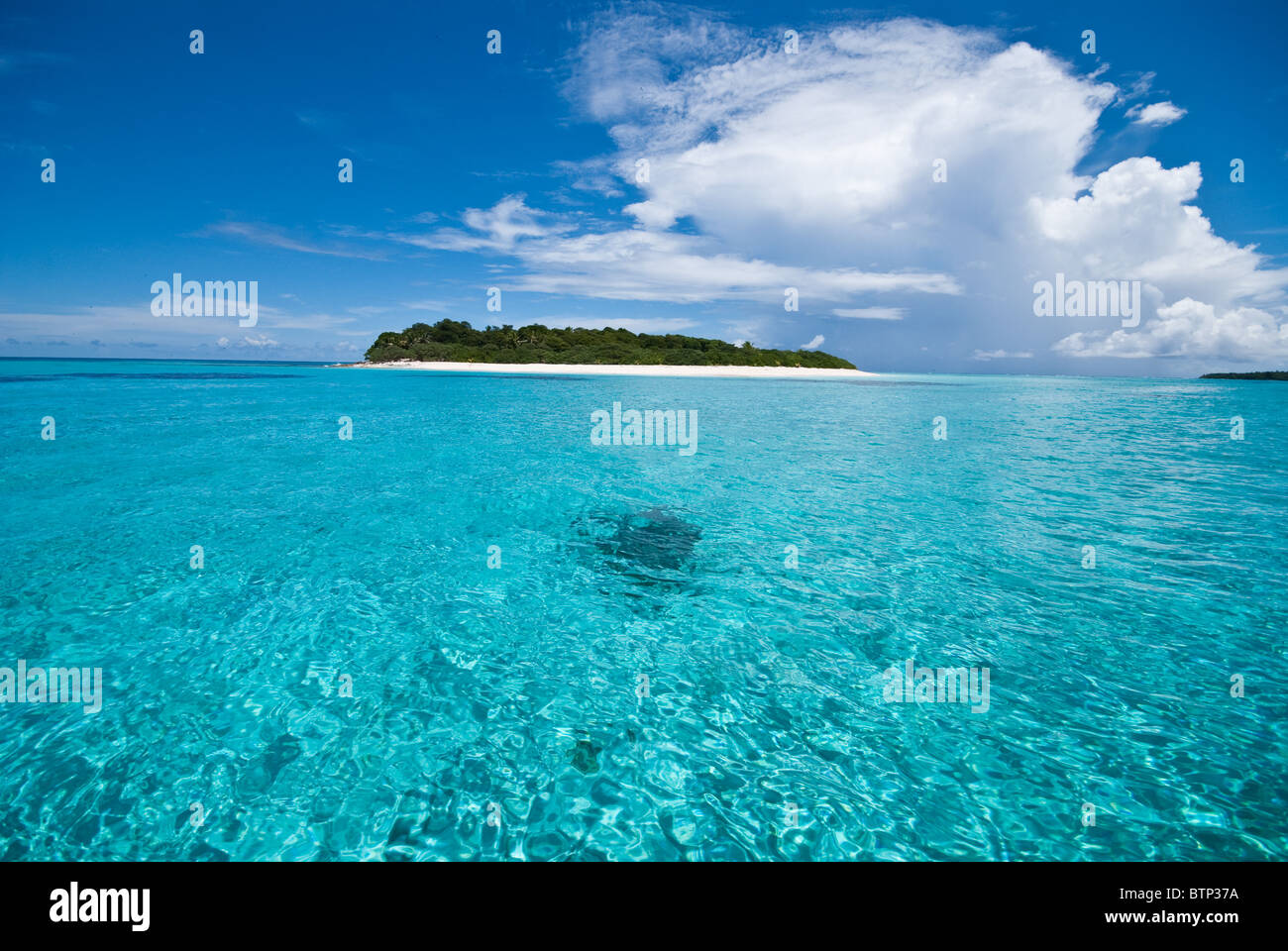 Uninhabited Island, Fiji Stock Photo