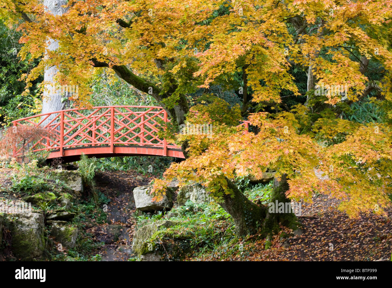 Peeping japanese hi-res stock photography and images - Alamy