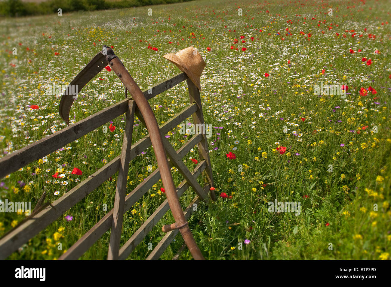 Straw hat and sythe in wildflower meadow Bucks Stock Photo - Alamy