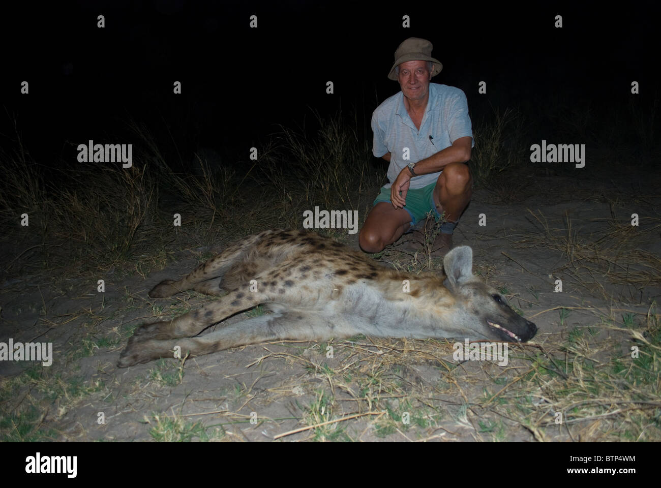 Wildlife expert hires stock photography and images Alamy