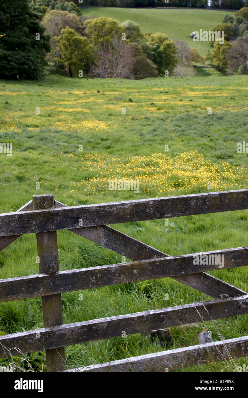 Scotland, near Ancrum, View of fence and meadow Stock Photo
