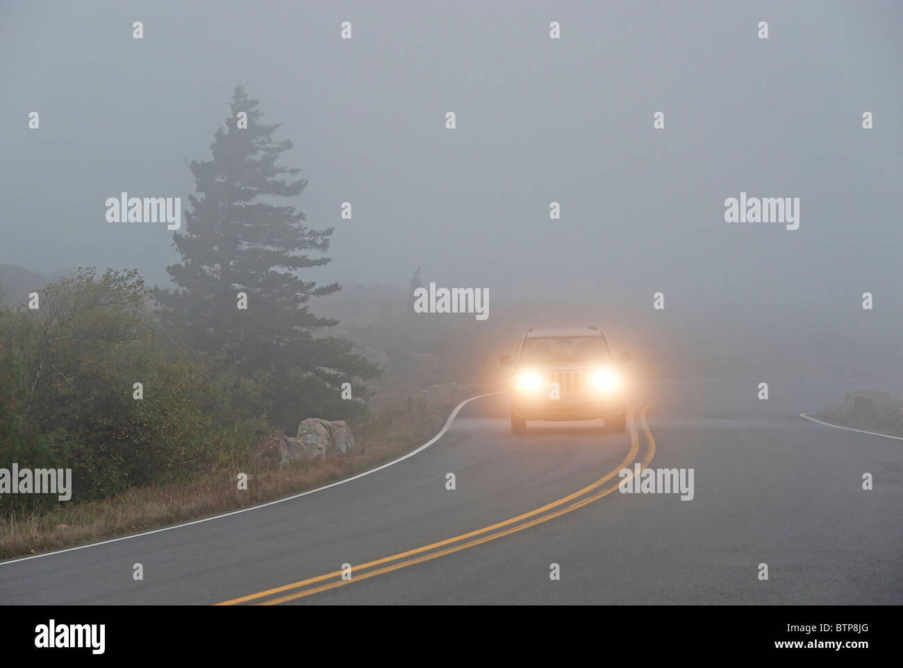 Car driving in heavy fog, Maine, USA Stock Photo