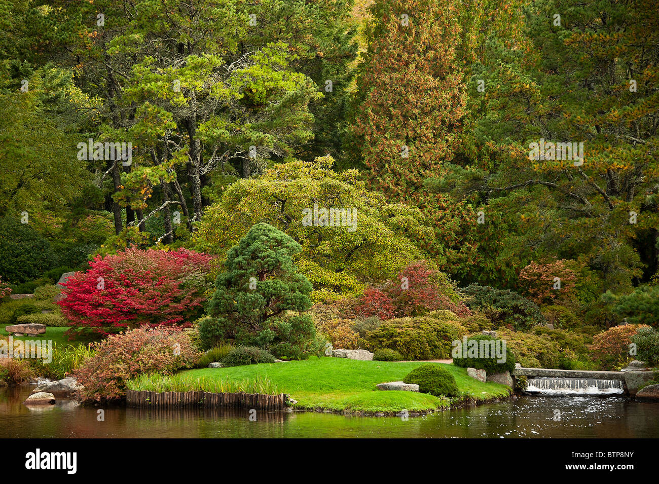 Asticou Azalea Garden, public, Northeast Harbor, Maine, USA Stock Photo