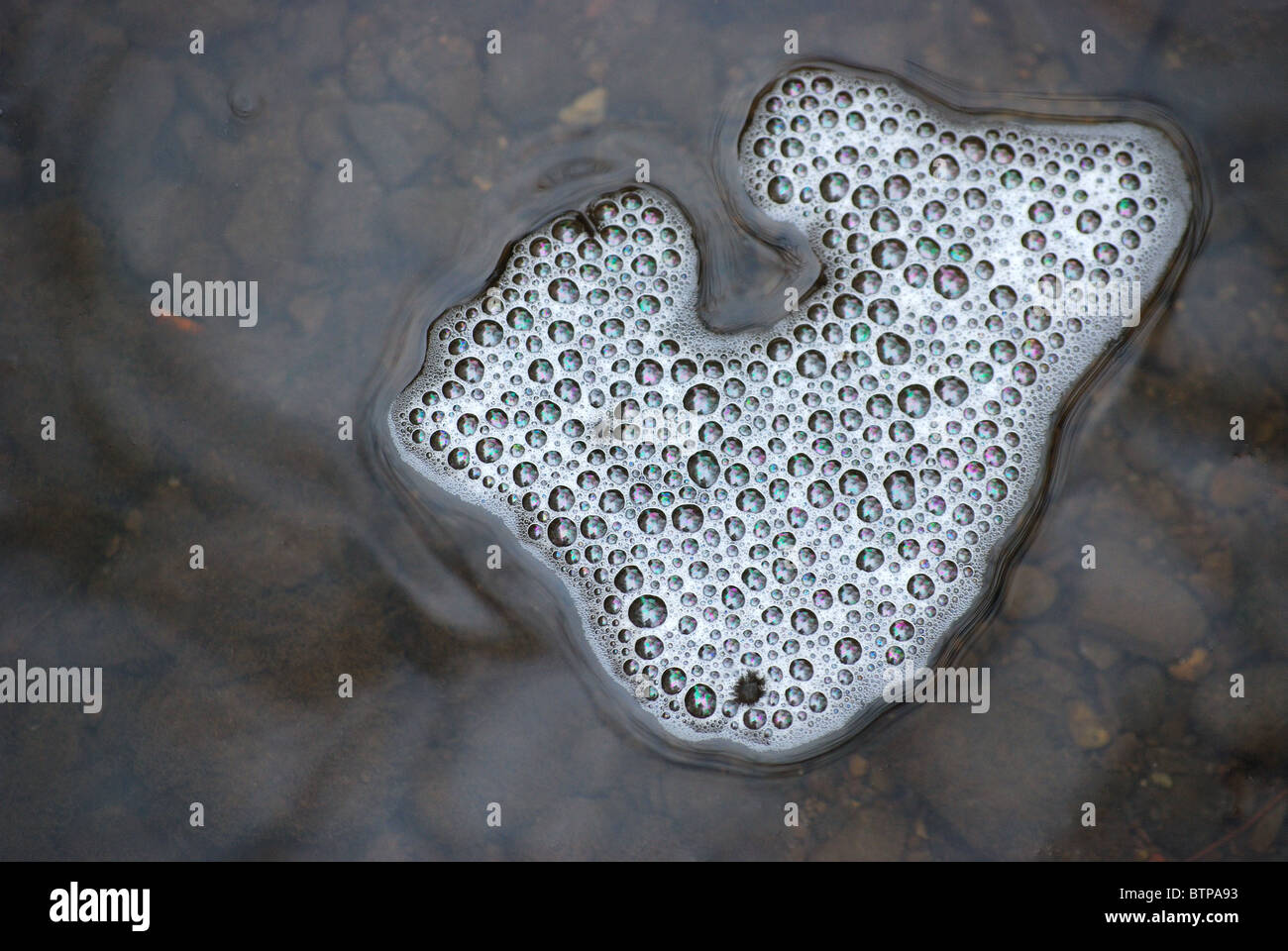 bubbles on surface of moving creek water Stock Photo Alamy
