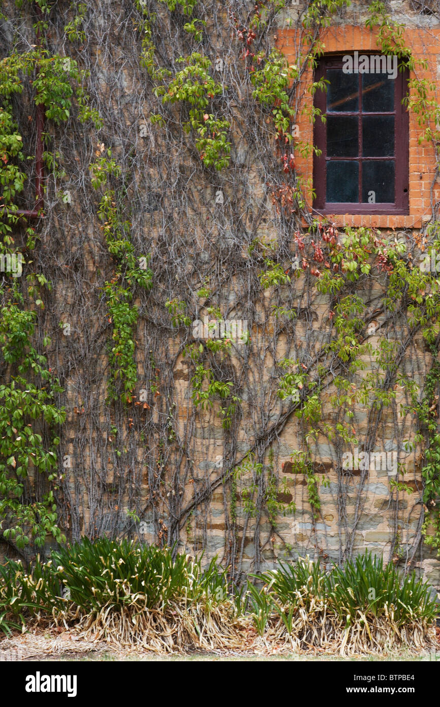 Australia South Australia Clare Valley Clare Window With