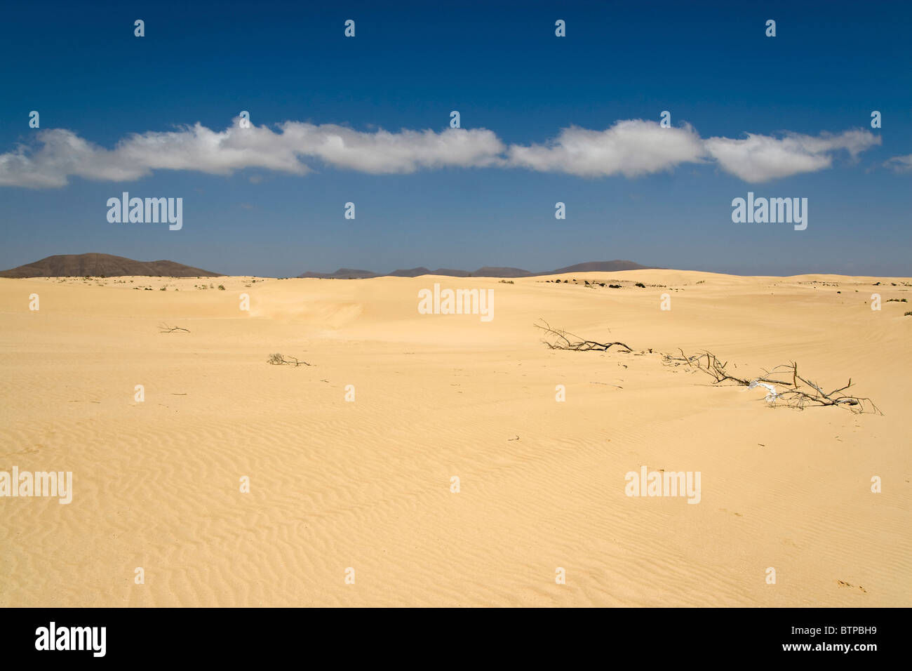 Dunes in the Fuerteventura desert Stock Photo