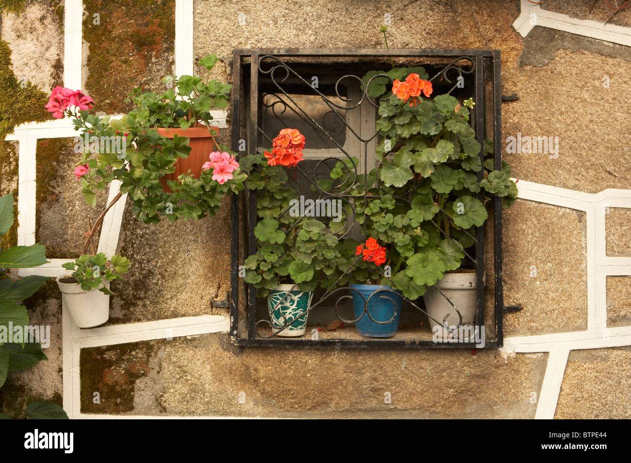 Spain, Galicia, Castro Caldelas, Ourense, Pot plants on window Stock Photo
