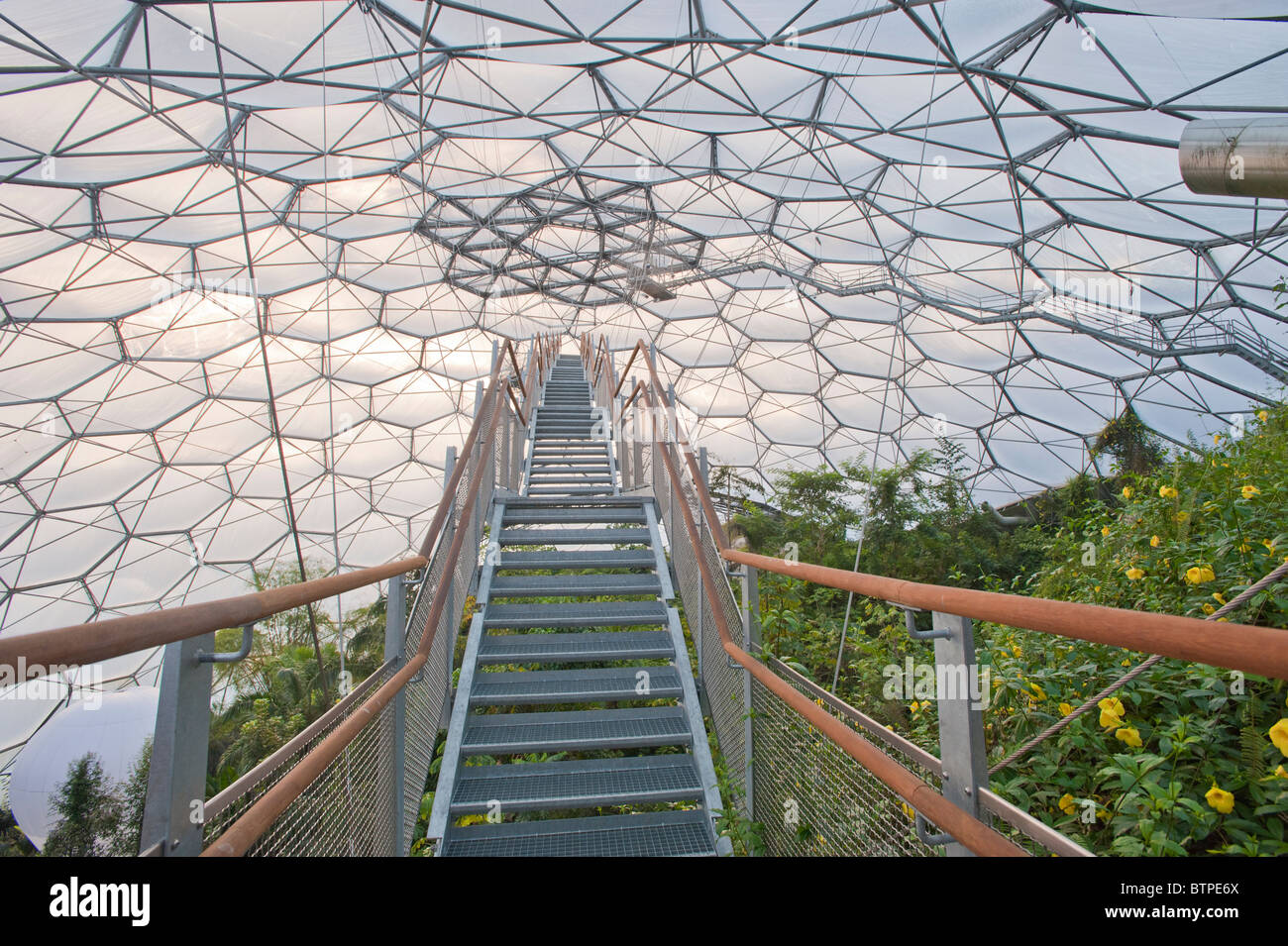 View of steps leading  the new (2010) viewing platform, high up in the humid biome. Stock Photo