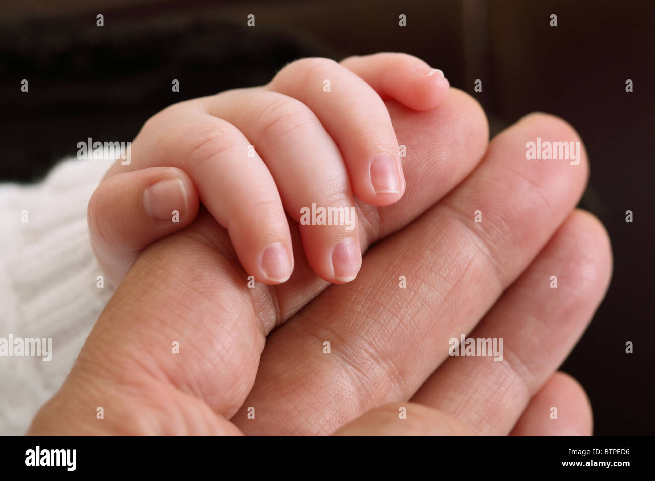Newborn baby holding hands with his father Stock Photo
