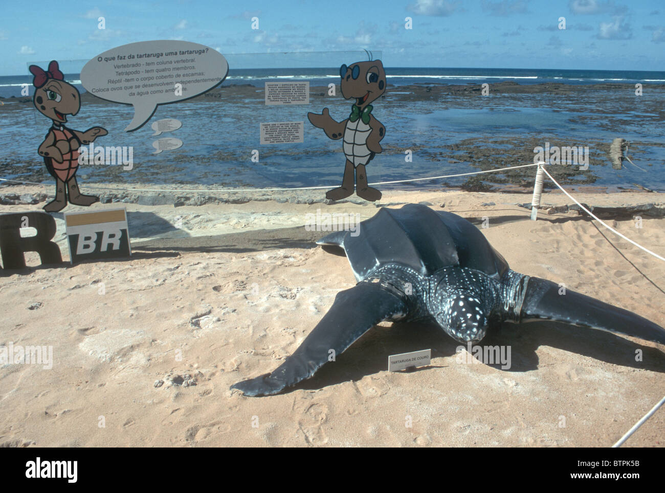 BRAZIL SEA TURTLE SANCTUARY ON A BEACH IN BAHIA STATE IN THE NORTH EAST ...