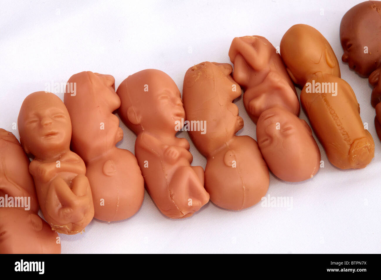 Rubber foetuses, at 12 weeks development, during a pro-life vigil outside the Houses of Parliament Stock Photo