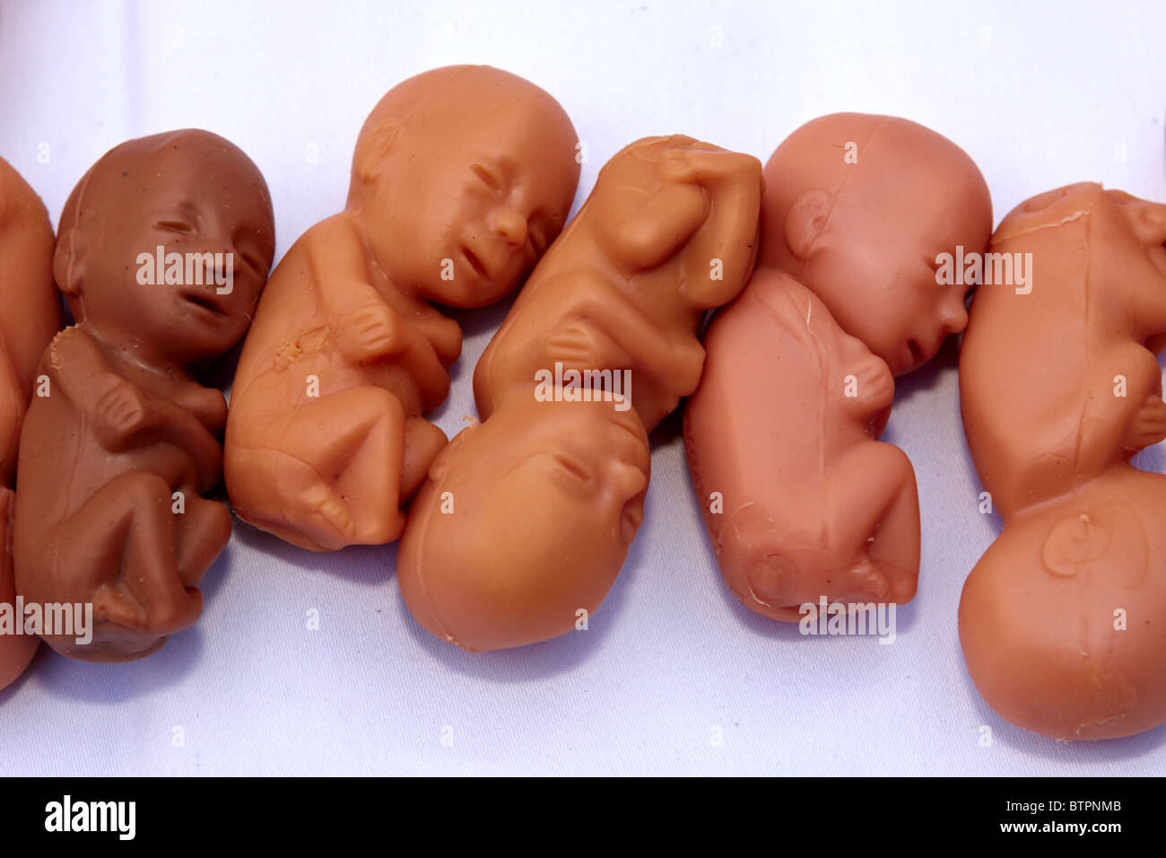Rubber foetuses, at 12 weeks development, during a pro-life vigil outside the Houses of Parliament Stock Photo