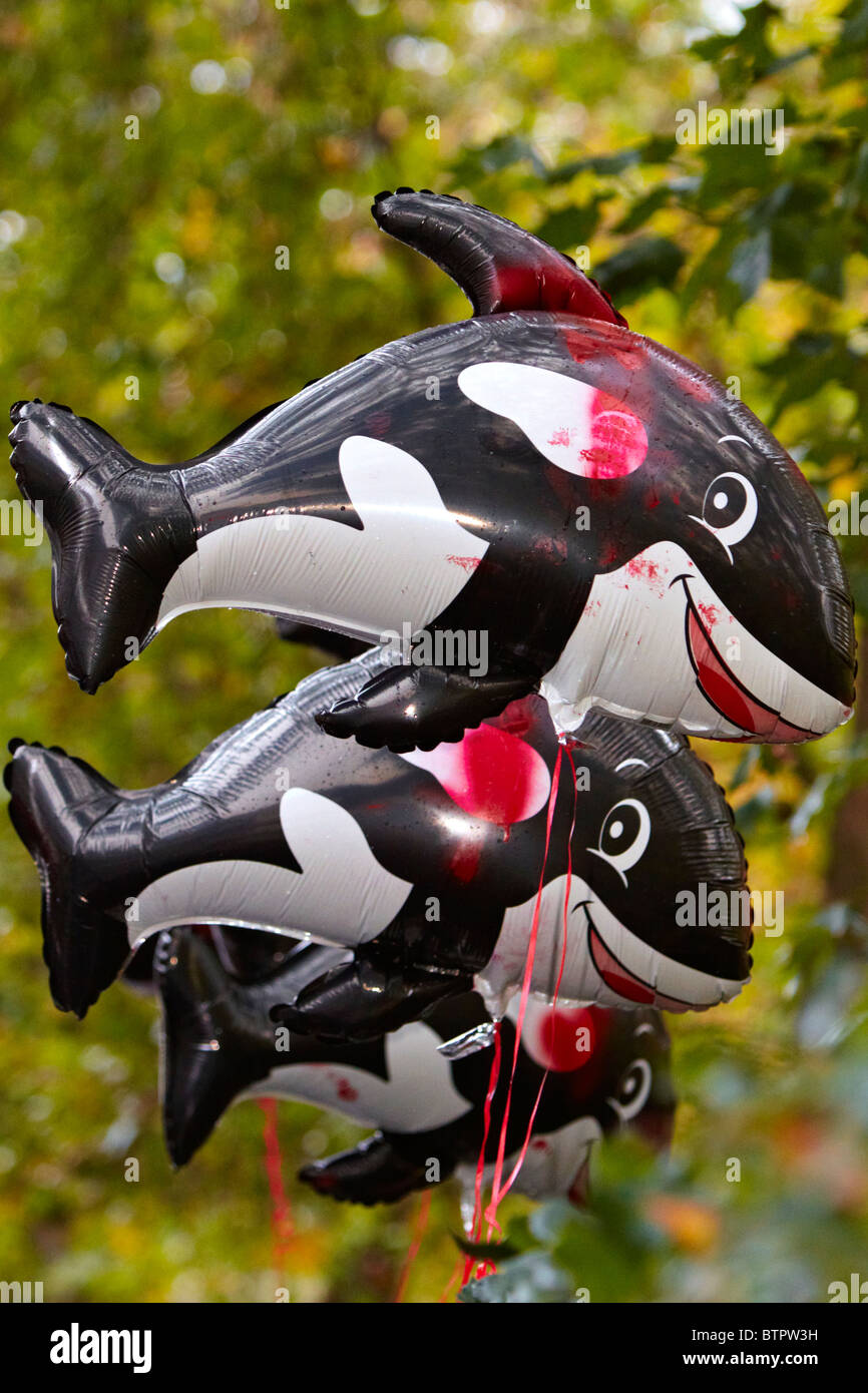 Killer whale balloons during an anti-whaling protest outside the Japanese  embassy Stock Photo - Alamy, image size:866x1390