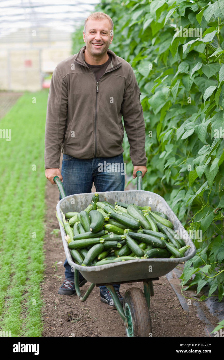 Farming vegetables and fruits Stock Photo