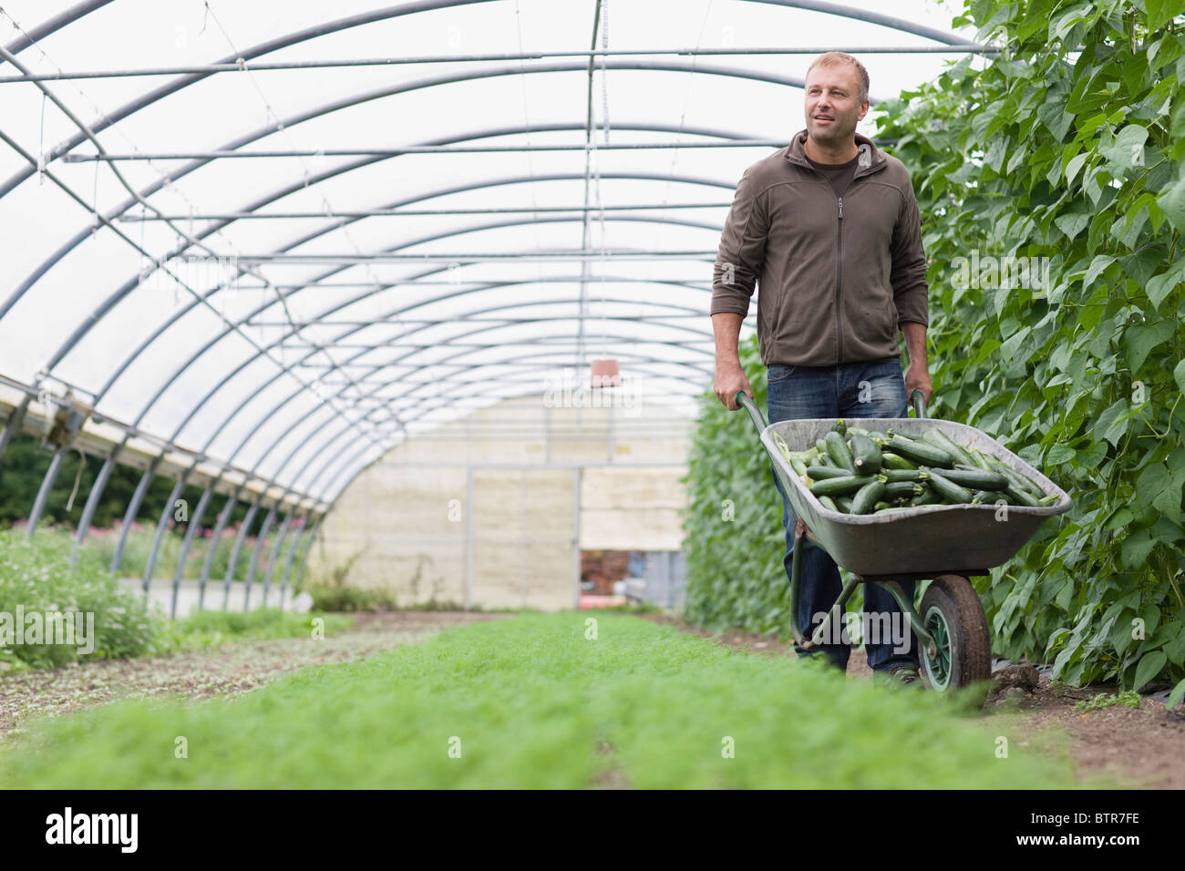 Farming vegetables and fruits Stock Photo