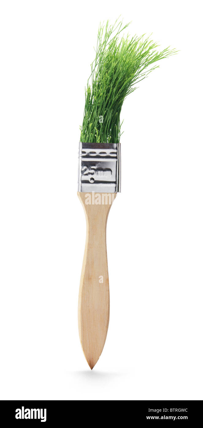 Pastry Brush with Pine Leaves Stock Photo