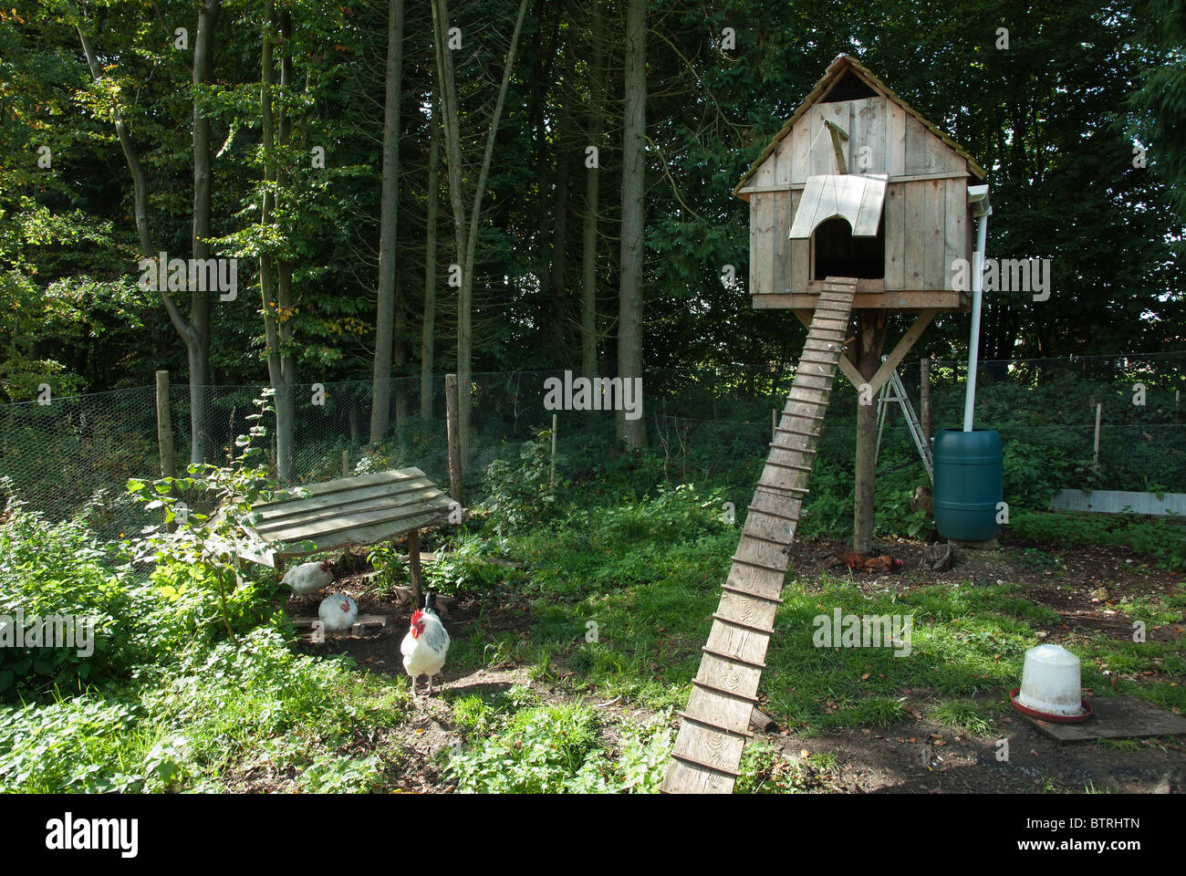 Chicken house hires stock photography and images Alamy