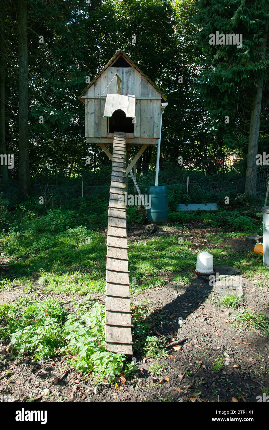 Chicken house with tall gangway for hens Stock Photo Alamy