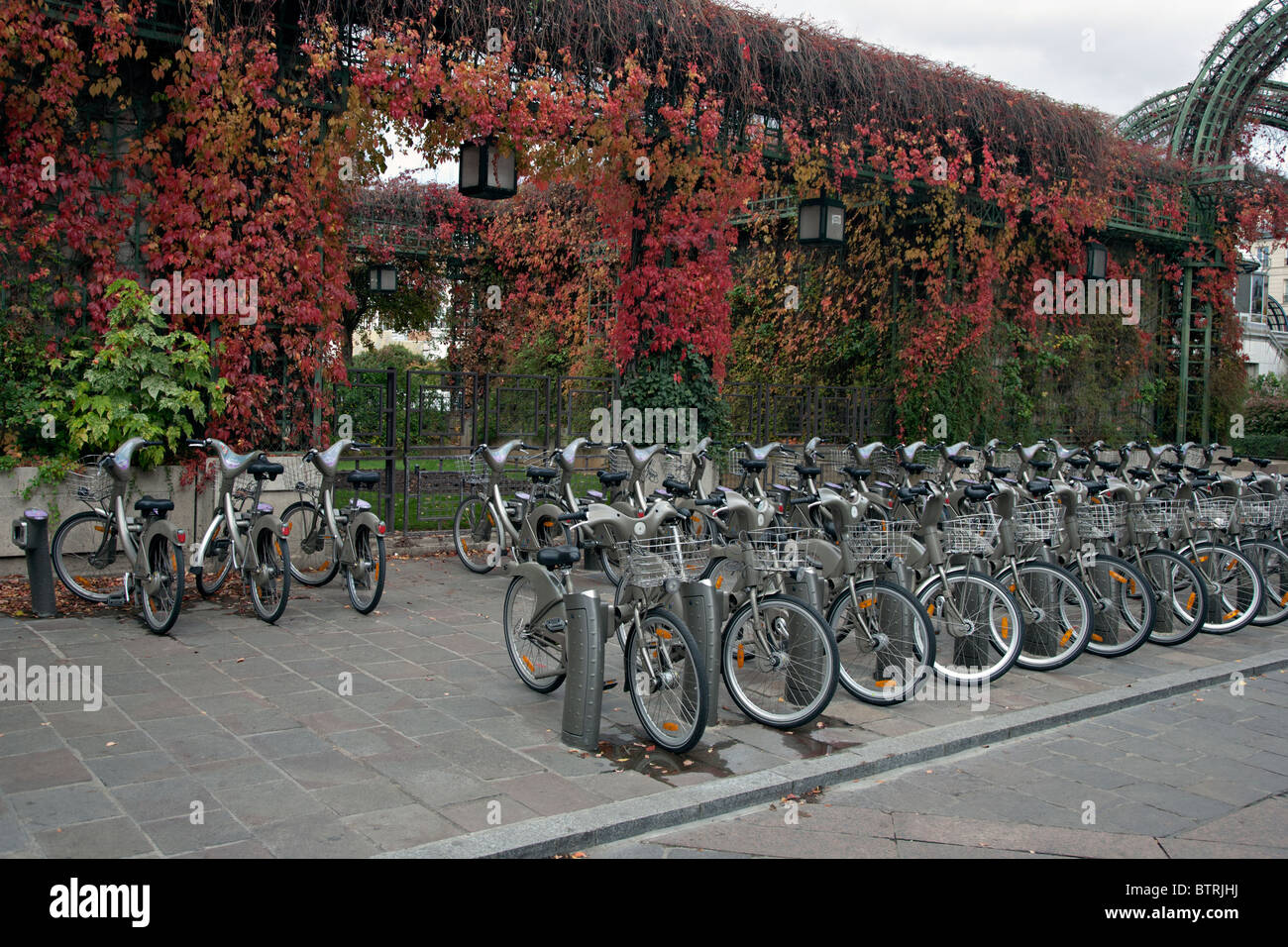 velib bikes in paris france Stock Photo Alamy