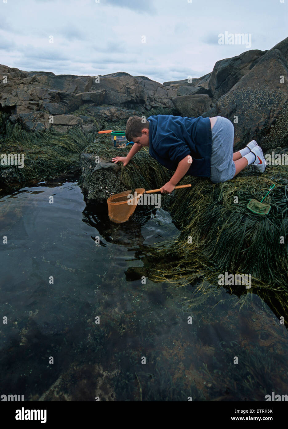 Nine year old explores tide pool. Plum Cove Gloucester, Massachusetts