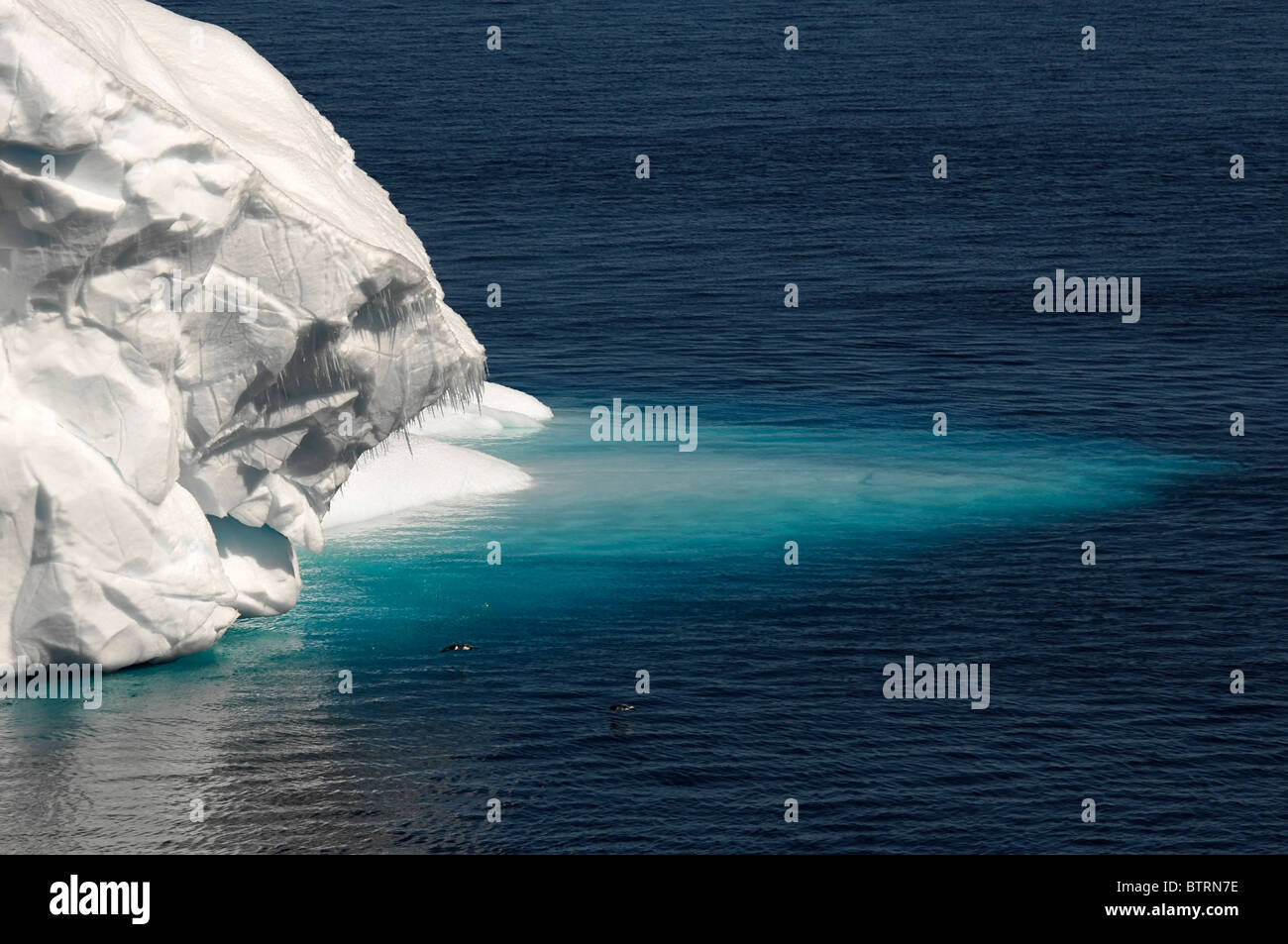Antarctic ice tongue Stock Photo Alamy