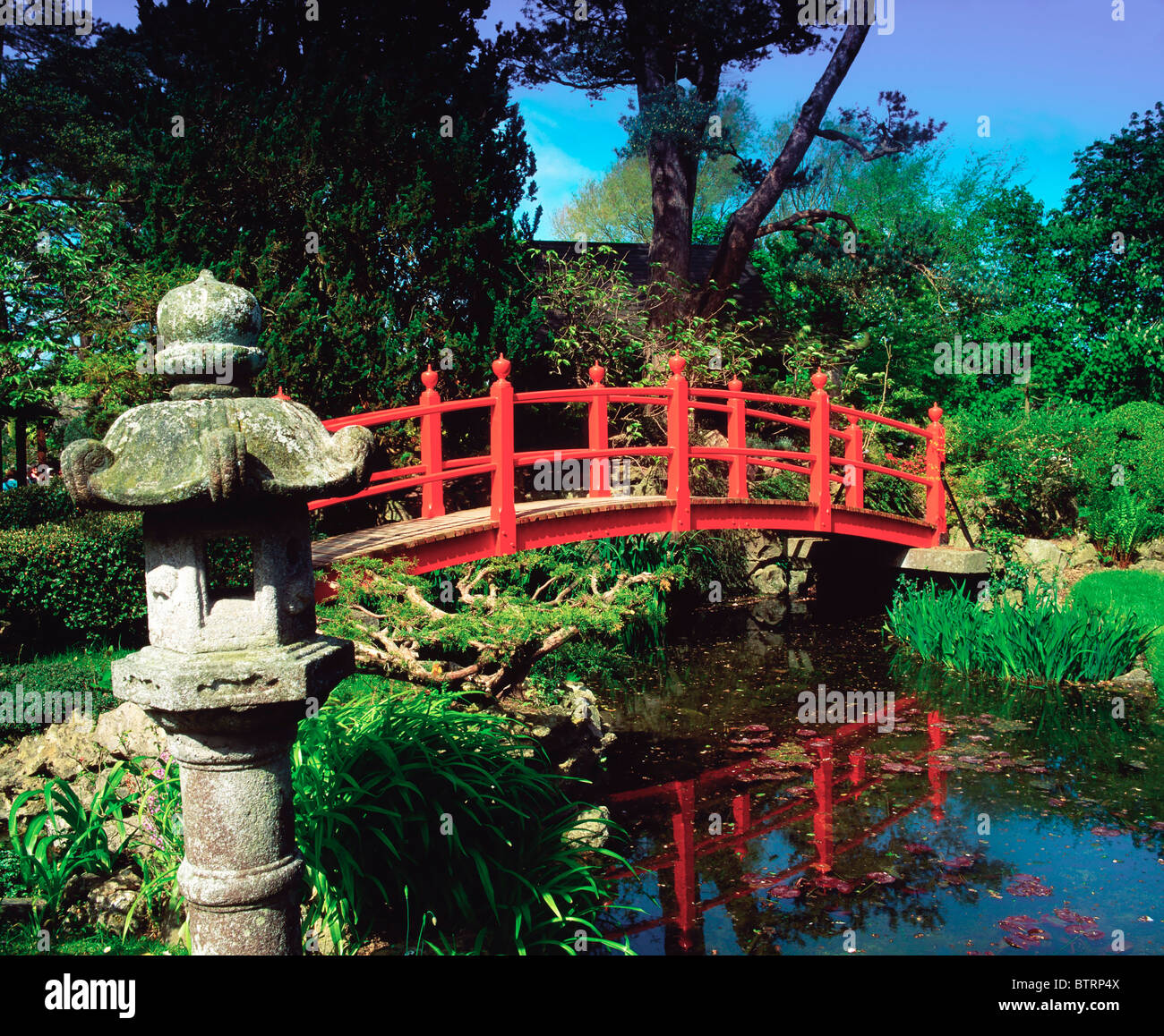Tully Japanese Gardens, Co Kildare, Ireland; Japanese Lantern And Red