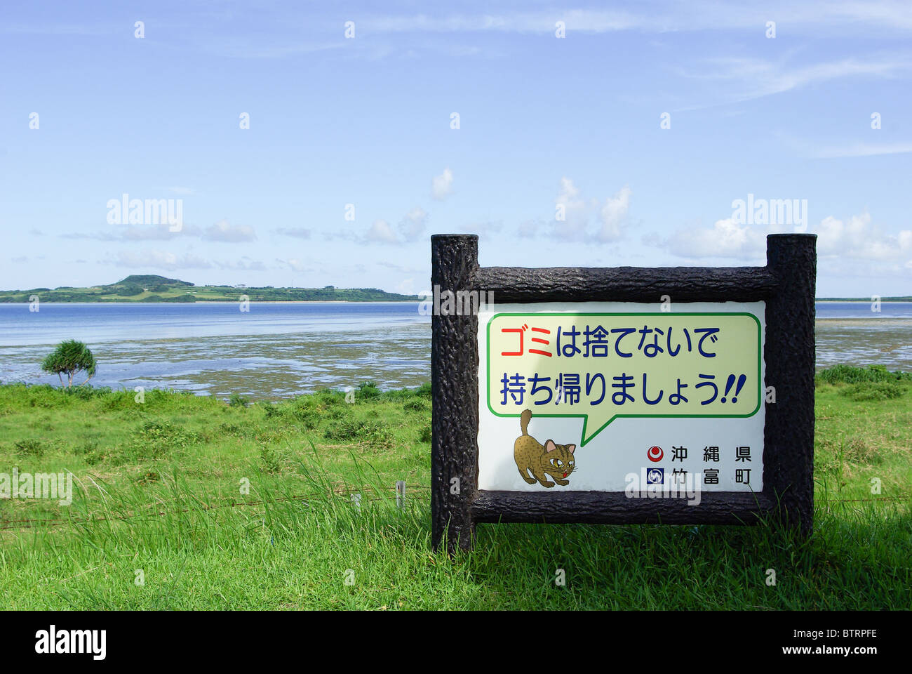 Iriomote cat hi-res stock photography and images - Alamy Iriomote cat hi-res stock photography and images - Alamy