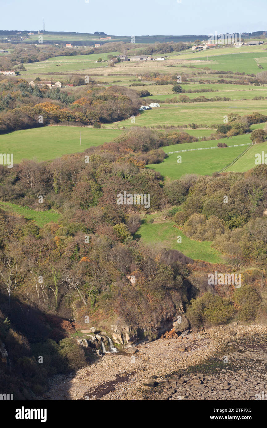 Hayburn Wyke near Scarborough, North Yorkshire Stock Photo Alamy