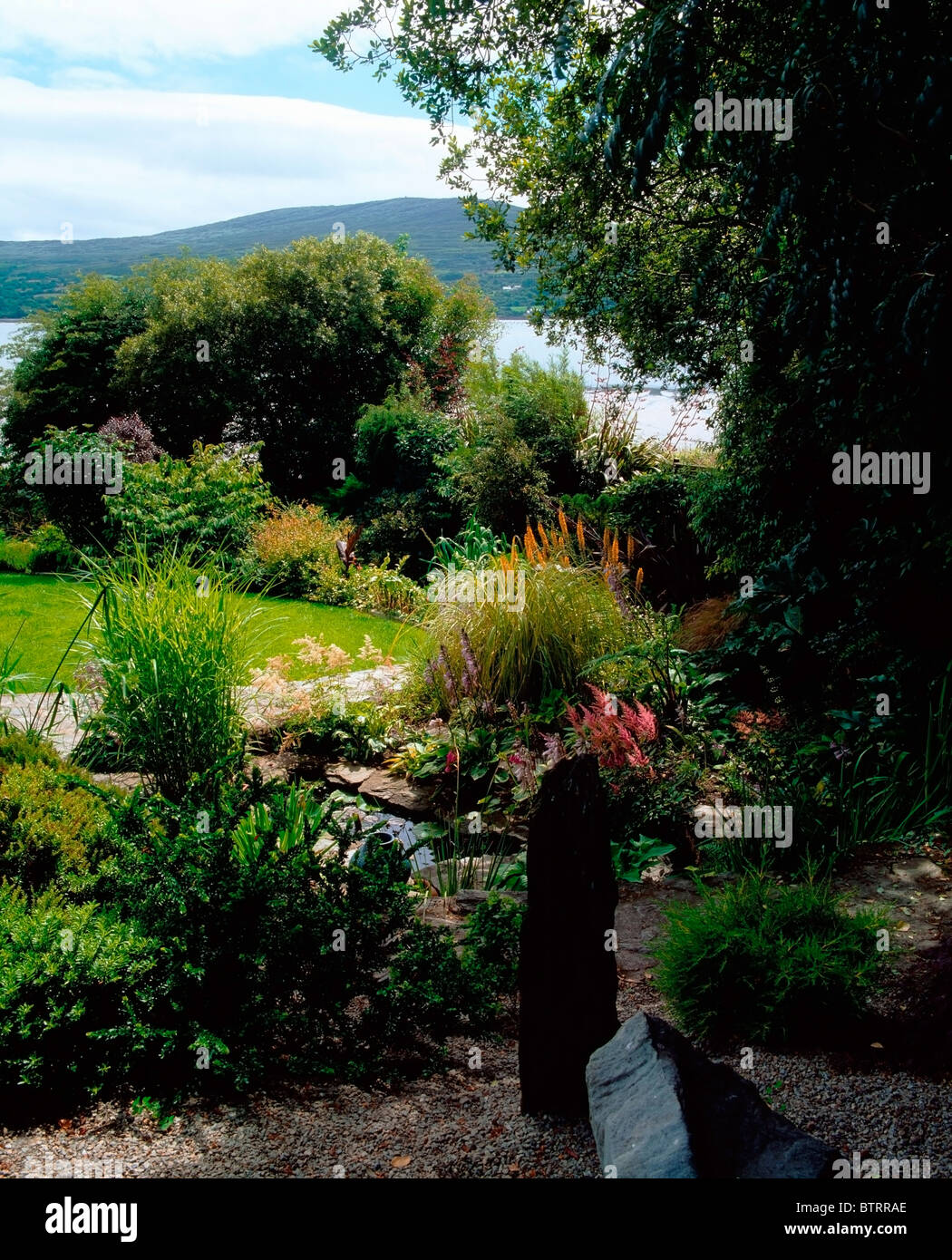 Kilcrohane, Co Cork, Ireland; View From Japanese Garden To Dunmanus Bay Stock Photo Alamy