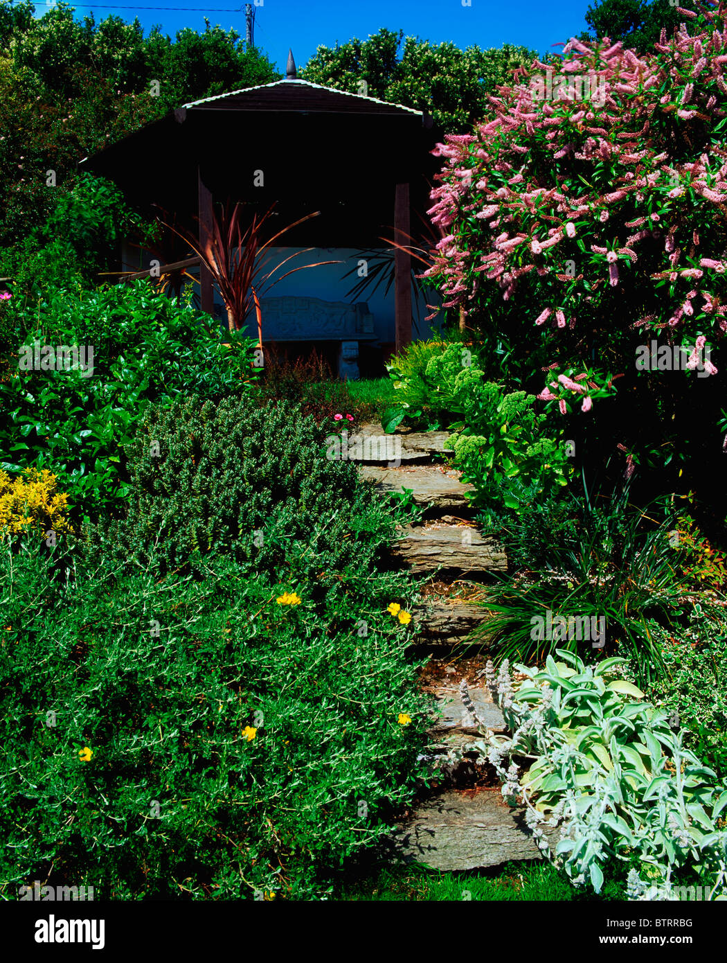Kilcrohane, Co Cork, Ireland; Summer House With Mixed Borders And Buddleia Stock Photo Alamy
