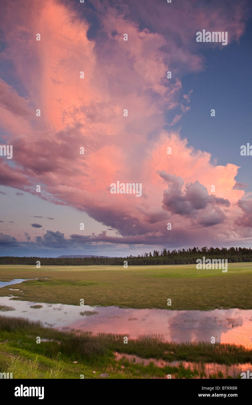 Sunset on pink cloud over Lower Lake Mary, summer monsoon rainy season